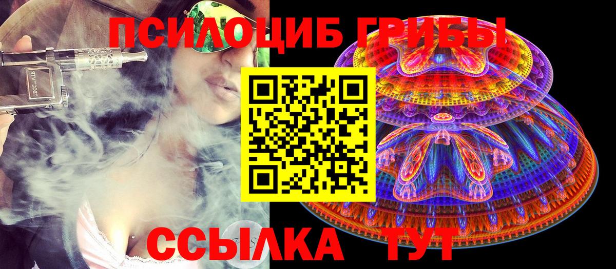Елабуга  Галлюциногенные грибы Psilocybine cubensis  наркошоп  Вход с VPN 